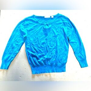 Blue Lightly Rouched Sweater Top